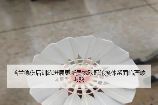 哈兰德伤后训练进展更新曼城欧冠轮换体系面临严峻考验